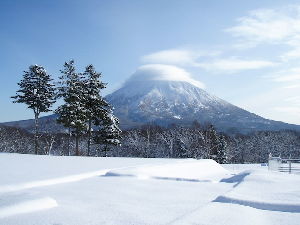 JAPAN SNOW WRAP - The Beginning