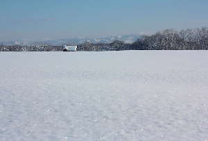 JAPAN SNOW WRAP - The Word We Want is Amazing