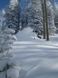 World Snow Wrap - Universal Snow & A Game Change in California at Last