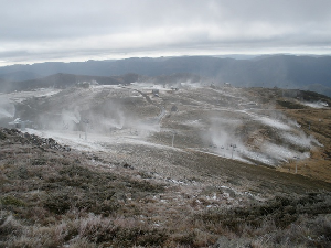 A Response to the Caring for our Australian Alps Catchements Report