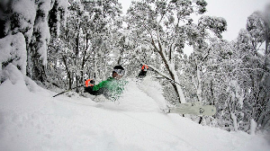 AUSSIE SEASON WRAP UP - Remembering Season 2011