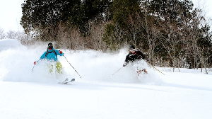 SNOW SEASON OUTLOOK JAPAN - The Usual Powdermonium Expected