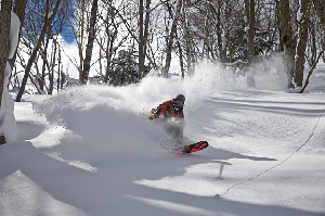 The Mountainwatch Guide To Shiga Kogen