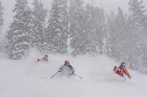Finally, A Classic Storm Cycle at Jackson Hole