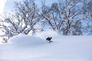 World Snow Wrap – Japan, Europe and America