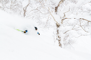 Niseko Japan - Conditions Wrap Up - February