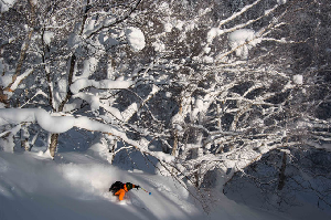 Furano’s Backcountry Beckons, But Beware