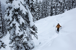 Whistler Micro Adventures