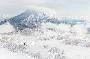 Niseko Japan - Fortnightly Wrap Up - January 31st