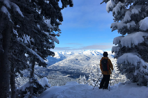 Finding a Hidden Line in Whistler