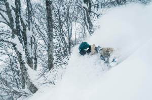 Win A Tour of The Powder Mecca - Hakuba - Giveaway