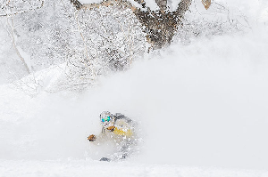 Obtaining Japanese Powder Enlightenment with Liquid Snow - Travel