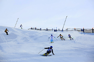 A Weekend Not To Be Missed - The 27th Mumm Thredbo Top To Bottom