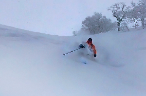 The Most Versatile Skis Ever? - Fat-Ypus D-Riddum - Gear Locker