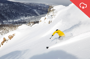 SNOW ALERT AUS - 15 to 60cm - The One We've Been Waiting For!