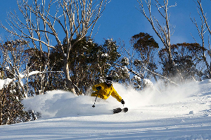 Chillfactor Magazine’s Guide To The Best Men’s Skis For Australia