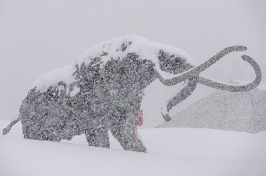 Aspen Skiing Company Makes a Mammoth Acquisition