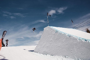 Tess Coady - Making Her Mark