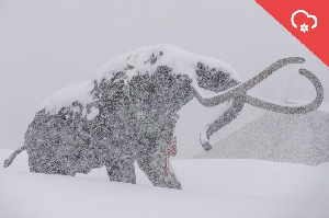 Snow Alert - Sierra To Be Hit Again