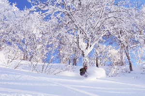 Ultimate Guide to Spring Skiing in Nagano & Niigata