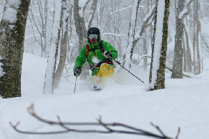 Japan Snow Wrap - Powder is on the way