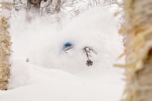 All Eyes on the Prize - Japan Snow Wrap