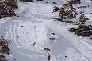 Watch the Shredbots Absolutely Destroy Perisher Last Year - Video