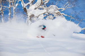 Highs to Lows and Back Again - Japan Snow Wrap