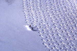 These Twin Brothers are Attempting to Ski the Perfect Signature Powder 8 - Video