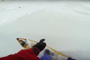 Crazy Austrian Skier Surfs Powder in Austria - Video
