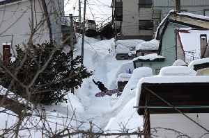 Offshore Snow Shapes - Snowboard Craft That’s Head High & Glassy