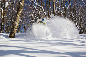 Where the Cold Smoke Never Ends - Japan Snow Wrap