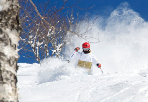 JAPAN SNOW WRAP – Daikan, major cold