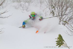 JAPAN SNOW WRAP – Holiday Powdermonium