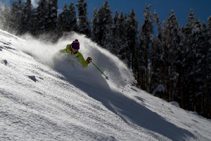 SNOW PHOTOS - Winter Arrives in North America