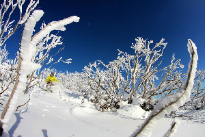 BEST OF 2011 - Top 10 Australian Snow Photos