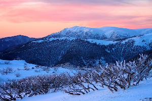 AUSSIE WEEKLY SNOW JOURNAL - Bluebird