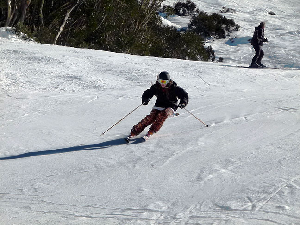 STEVE LEE REVIEWS - All Mountain Skis