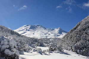 Maori Signs for Reading the Winter