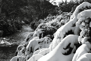 SNOW UPDATE - Lifts Opening This Weekend