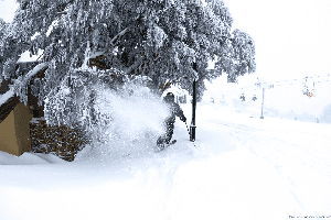 BULLER Photo Snow Report - Season's First 1 Foot Dump