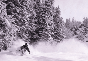 WORLD SNOW WRAP - Fresh February