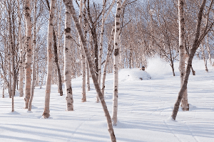 JAPAN The Earthquake and the Snow Resorts