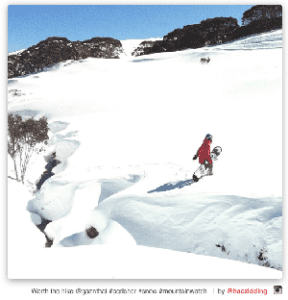 INSTAGALLERY - 