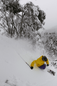 SNOW JOURNAL - Early Winter Rewards