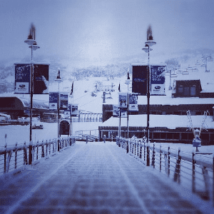 COUNTDOWN TO WINTER - 5 Days and Counting