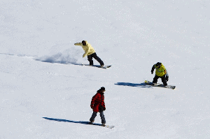TRANSFER Buyer's Guide 2012 - Choosing the Right Snowboard
