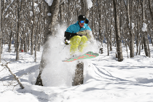 More Pow At Hakuba