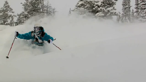 Video - Jackson Hole 5-Feet in 5-Days