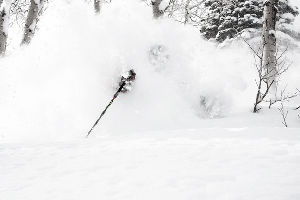 PHOTO SNOW REPORT - FERNIE Opening Early with 1.6m Snow